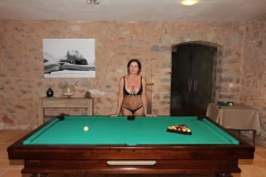 bastide-de-tourtour-billard-amelie