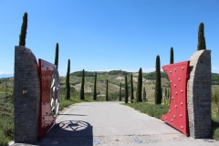 il-boscareto-allee-entree-au-milieu-des-vignes