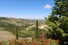il-boscareto-vue sur les vignes de barolo-au fond-serralunga
