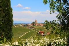 serralunga-depuis-il-boscareto