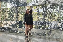 nice_cap3000_mur_chrome_amelie