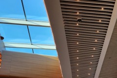 nice-cap3000_plafond_lucarne_b