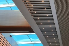 nice-cap3000_plafond_lucarne_c