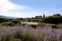 capelongue_jardin_club_house_piscine