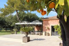 hotel-du-castellet-terrasse-orangers