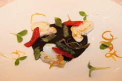 la-conchiglia-arma-di-taggia-seriole-encre-de-seiche