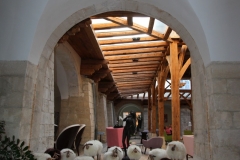 couvent-des-minimes-cloitre-moutons