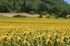 couvent-des-minimes-chemin-les-jeux