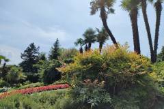 grand-hotel-iles-borromees-jardin-massif