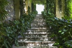 Giardini-della-Pergola_-32-524x698