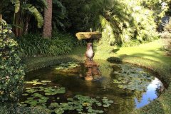 alassio_villa_della_pergola_bassin_nymphea