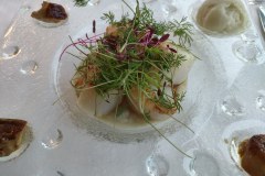 la_prua_noix_de_petoncle