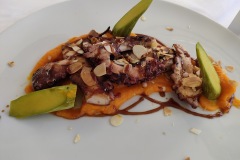 la_prua_poulpe_sur_creme_de_carotte_et_courgette_sauce_teriyaki_et_amandes