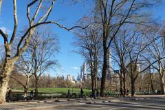 manhattan-central-park-view