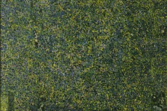 gustav-klimt-le-parc
