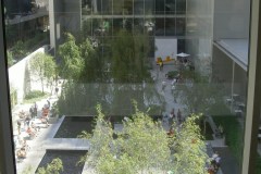 new-york-moma