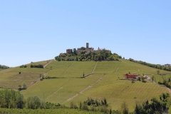 Langhe_Castiglione_Falletto