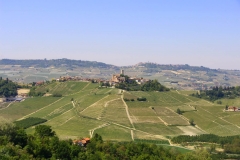 Langhe_Castiglione_Falletto_1