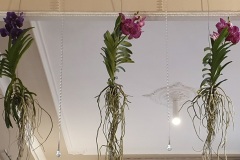 san-remo-flipper-decoration-plafond