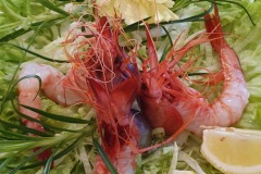 san-remo-flipper-gambas-tartare