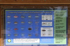 sanibel-city-fischer-pier