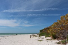 sanibel-island-lighthouse-park