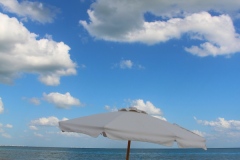 sanibel-island-ocean-transats-roses