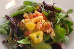 corsica-sardinia-ferries-mega-express-un-langoustines-mangue