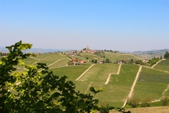 Serralunga d'Alba vignobles