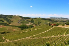 Vignoble Pira - parcelles Marenca Margheria Barolo Serralunga