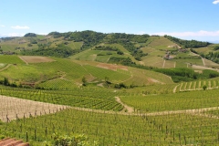 Vignoble Pira - parcelles Rionda Barolo Serralunga