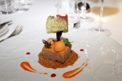 lyon-les-trois-domes-christian-lherm-carre-d-automne-foie-gras