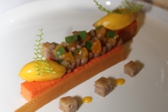 lyon-les-trois-domes-christian-lherm-mousse-clementine-amere