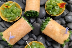vieille-fontaine-mise-en-bouche-wrap