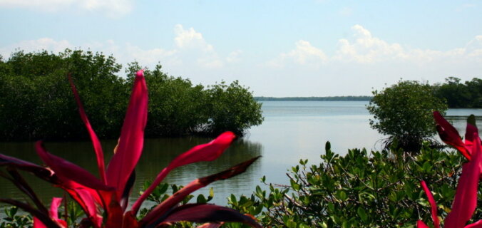 Florida. Sanibel. Tarpon bay reserve.